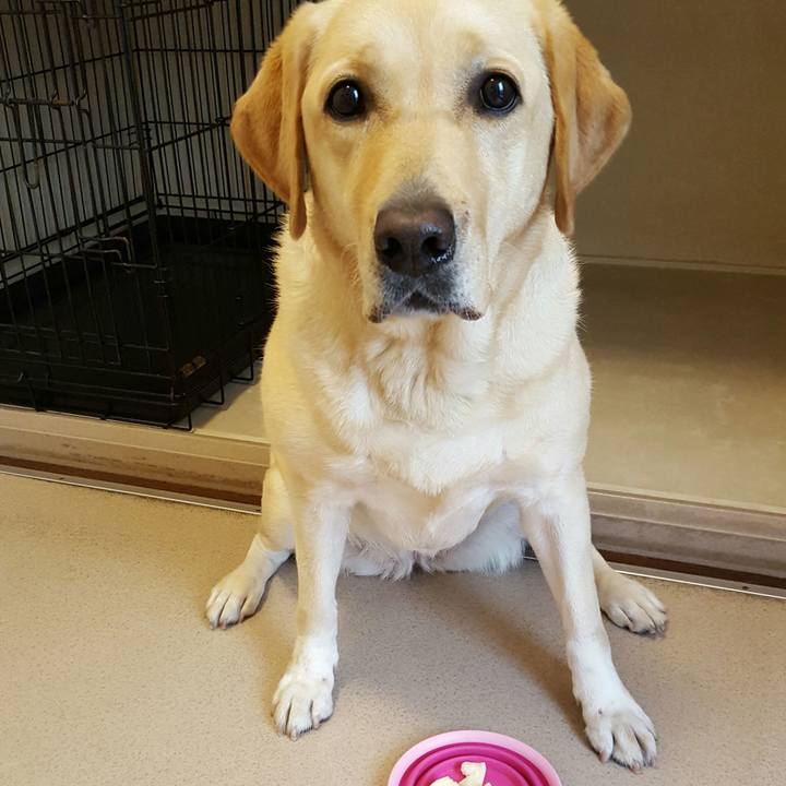 Ebe79a7b ca28 4f4e bd63 fdd0b5137cbe