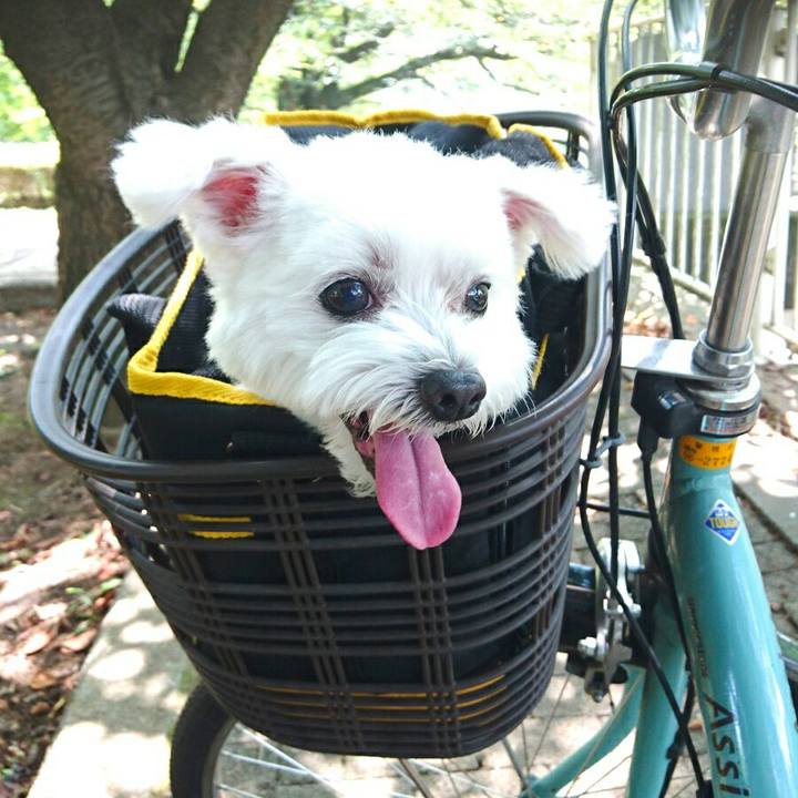 Ebe7a57b 0e7b 4a3b 8770 aa90cd8801dc