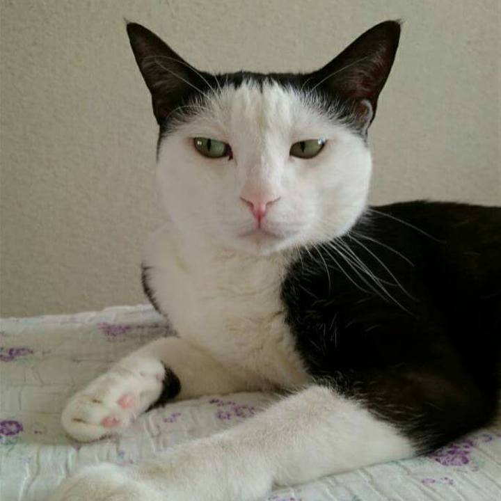 Ebe828ac 5782 43d2 bc1c 6136436495ee