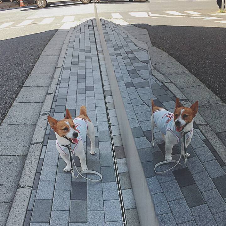 Ebe83302 5702 4508 aa87 d745419f7323