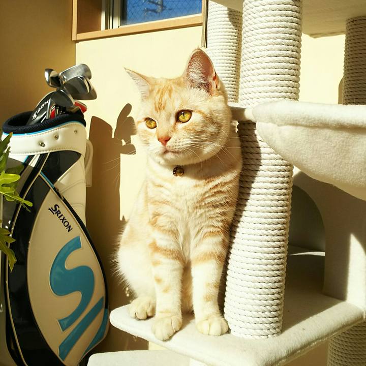 Ebe84050 0c9c 4eec ac4c 86c22f9b5339