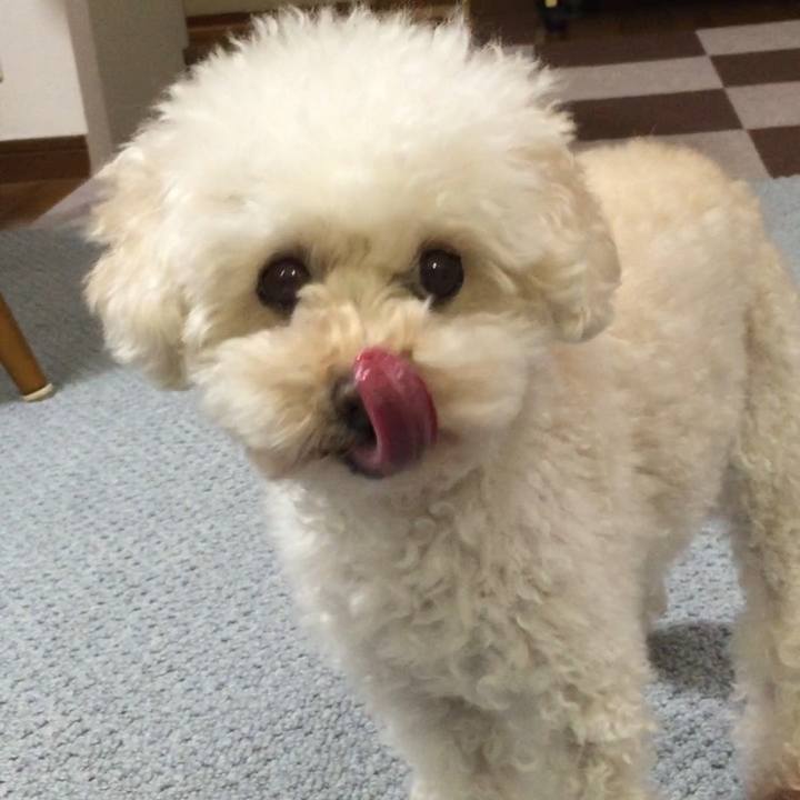 Ebe8e298 74c3 44c5 aedf cbd1b1dca45f