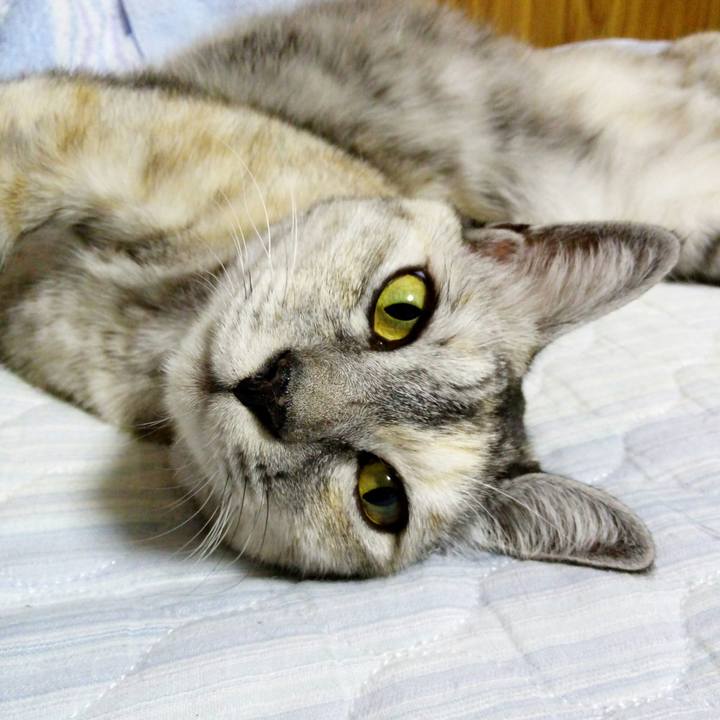 Ebe932c2 63af 4d12 b7f4 708644f02857