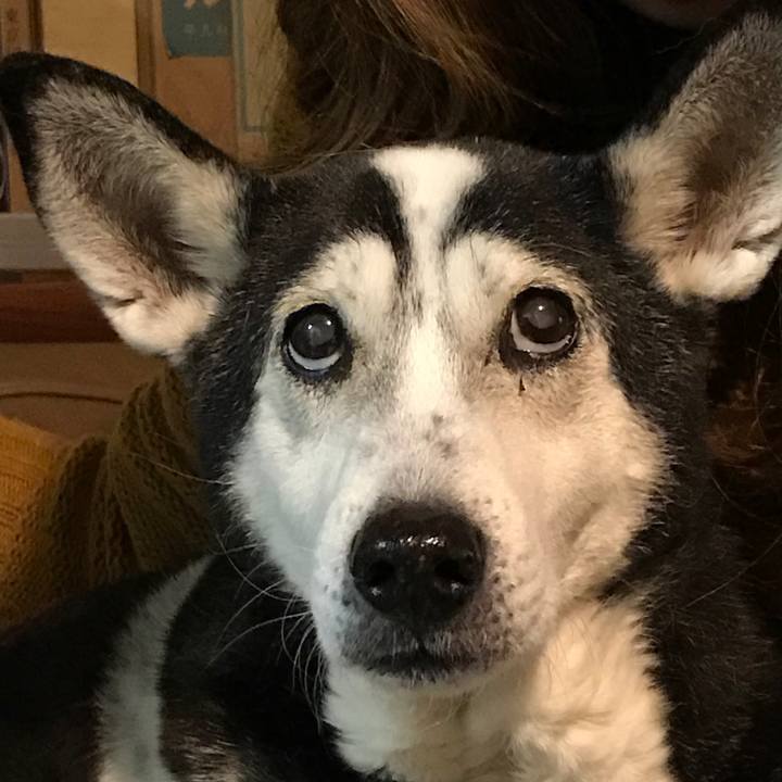 Ebe976b8 9bc5 4e5c b07a 28ba1dccdfd9