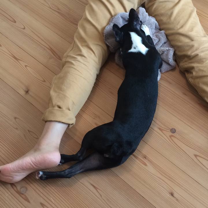 Ebe9b60b 37d1 4c58 8ca5 c9e4659147e0