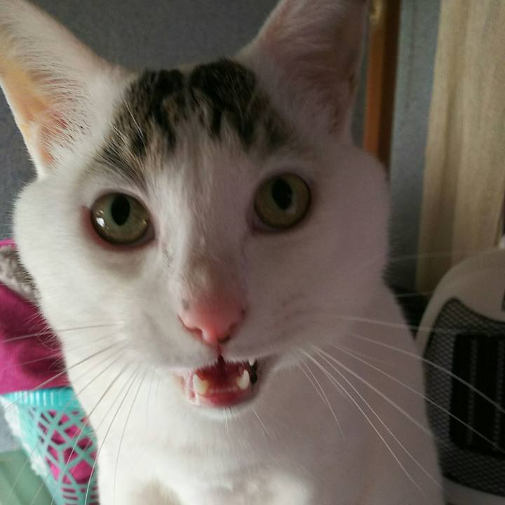 Ebea441a d642 44ce a67c 99a22b232d80