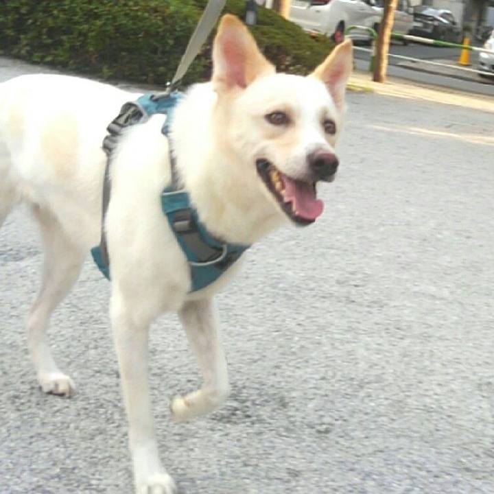 Ebea8d1a ca92 4c81 b2e8 13de4543e299