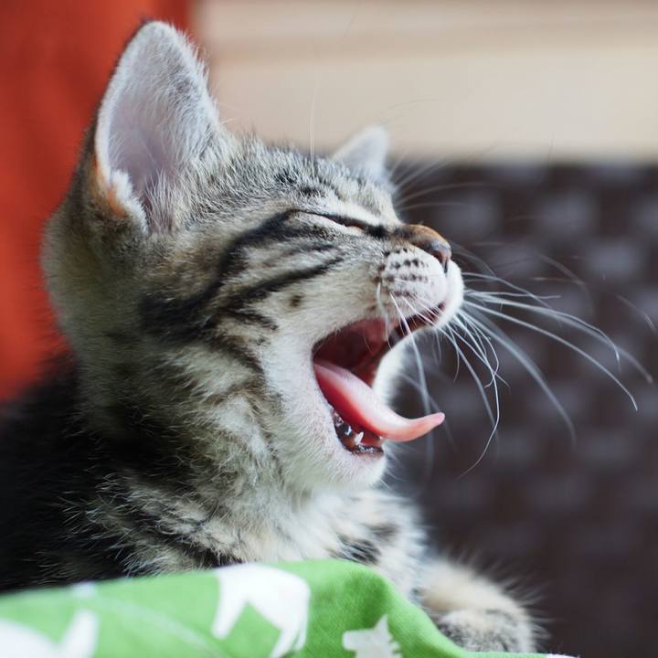 Ebeafc22 df91 42de 84a5 c2f73e5e05d2