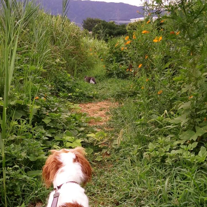 Ebeb7764 b793 456d acdc 3b8f99604566