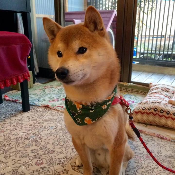 Ebeb7e4c 2a77 459f 9b6e 13de6dff5abb