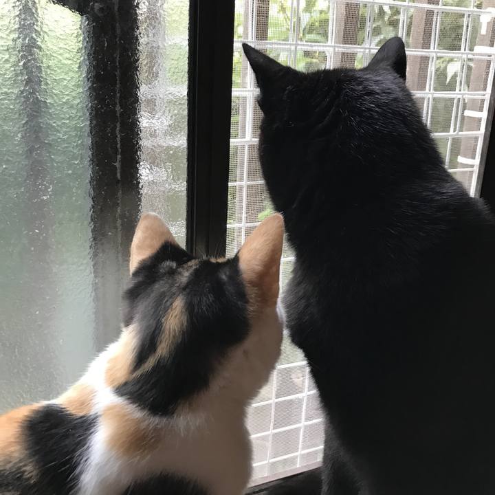 Ebebf2da 566f 424d b869 f08955ebbfef