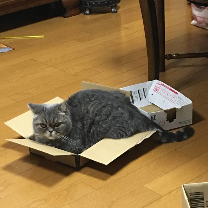 Ebec4a27 55f2 4511 b21c 70bcb85f75e3