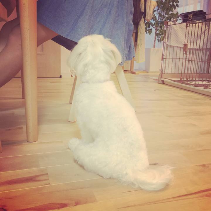 Ebeca7ce e49c 4068 ab62 b6794b0035a2