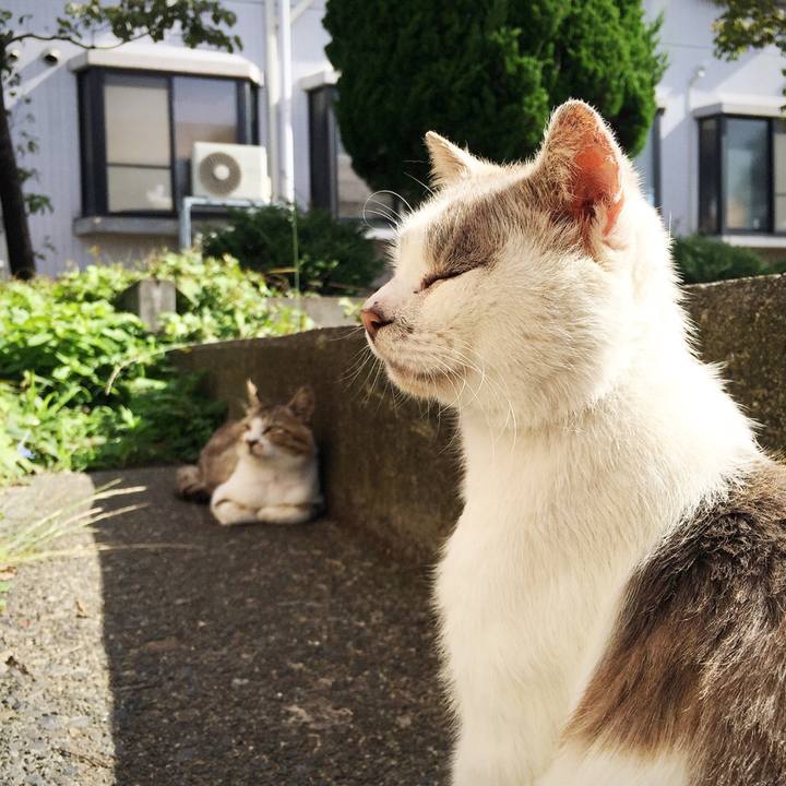 Ebecca64 de9d 4863 9c9a 96e721026813