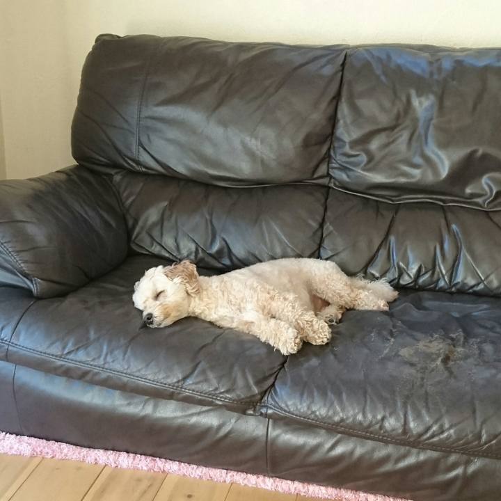 Ebed1bd2 8d52 497f 8b70 38d10814f5d7