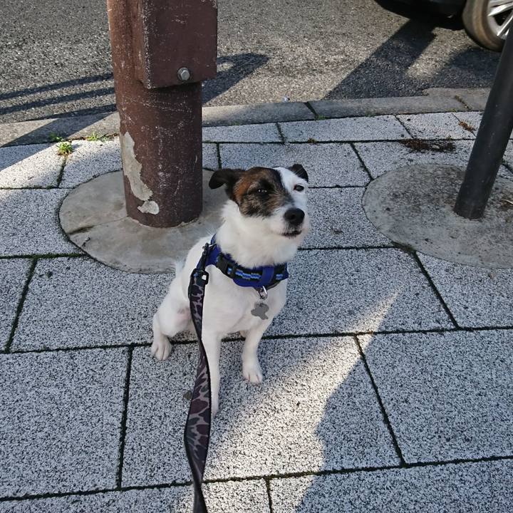 Ebed5b0d b39b 4010 9d55 5c5421d295c0