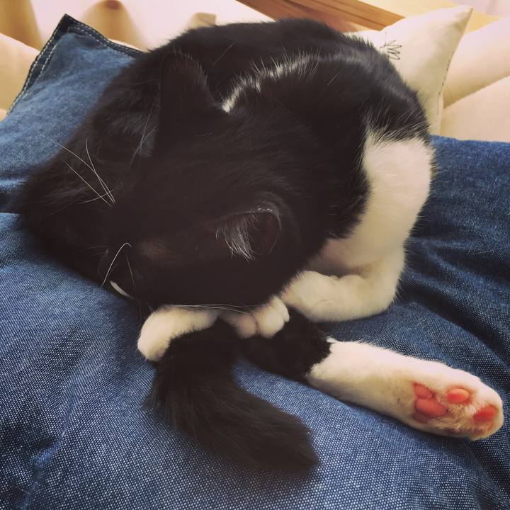 Ebed6b88 42ce 4ae6 b991 4f6d983fa48d