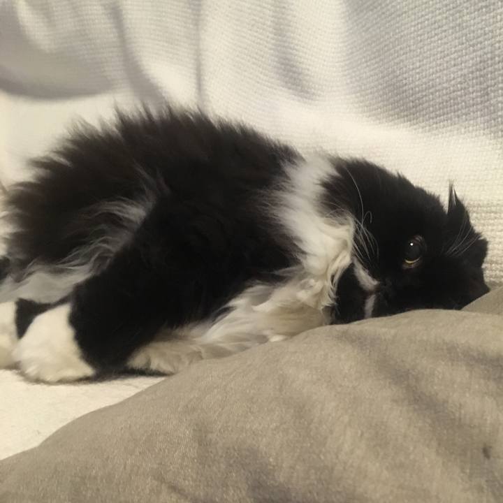 Ebed7dda 03f1 4865 bb0c 7fb1a2bab6da