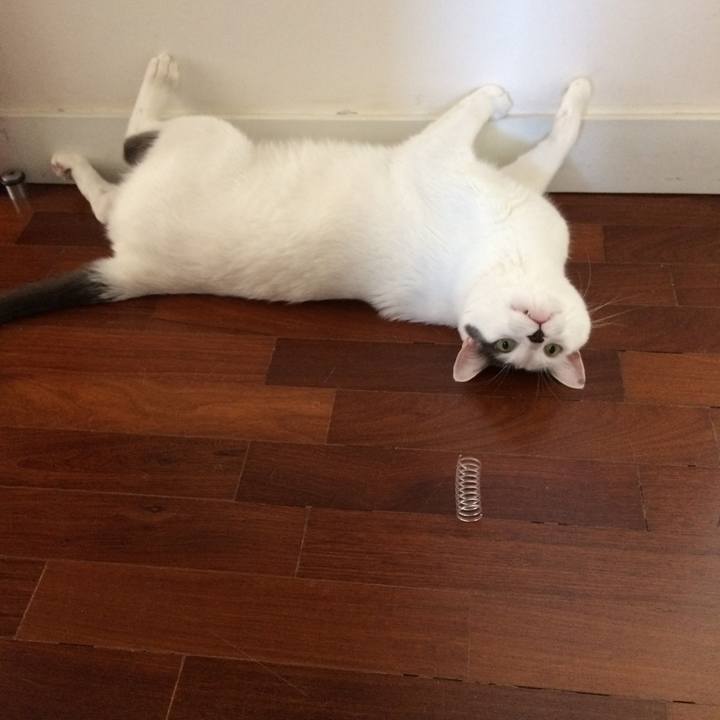 Ebed7e9c be10 433b 83b5 0184a9823128