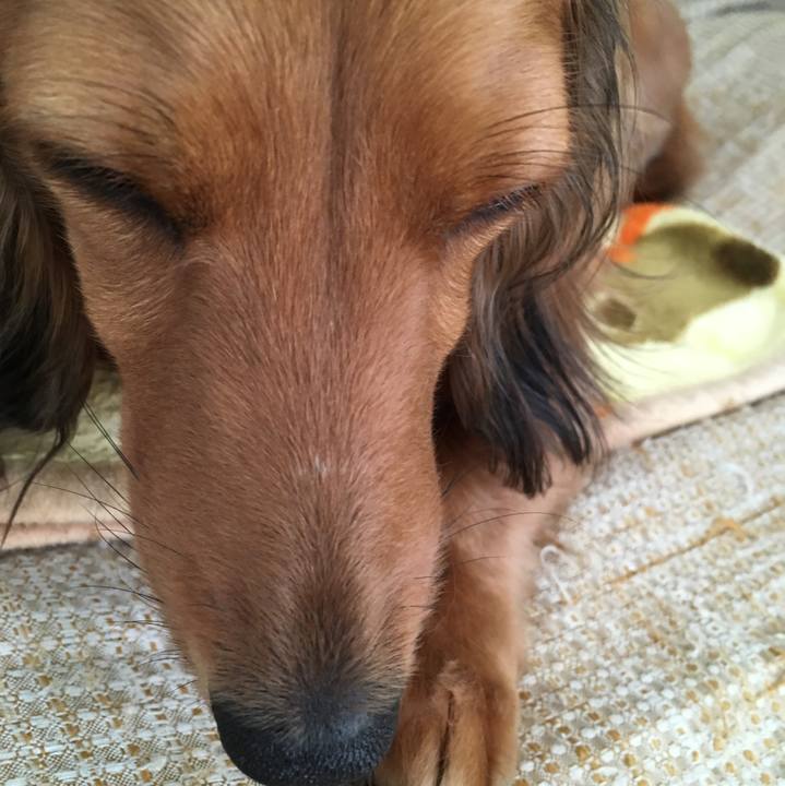 Ebed7ef5 3b9d 4154 8116 255d36673d2d