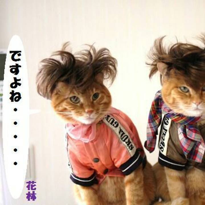 Ebedc4cc b41d 483b a300 f02d4bff8bd6