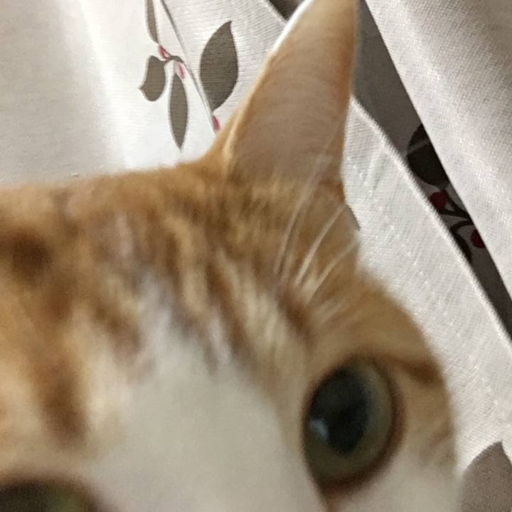 Ebedd5e3 ed5f 418d ac7f b1e59525fb79