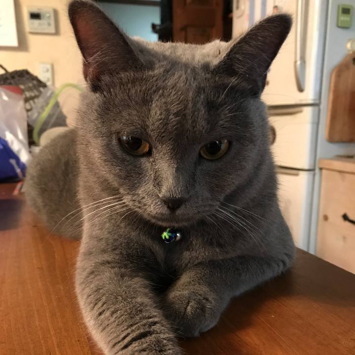 Ebee0552 fc32 4f3f 88eb 155e6b95bc8b