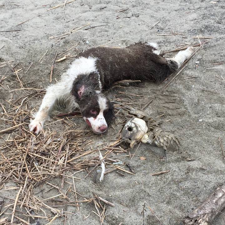 Ebee3b29 ea7c 4af4 aa29 b6b55fc90934