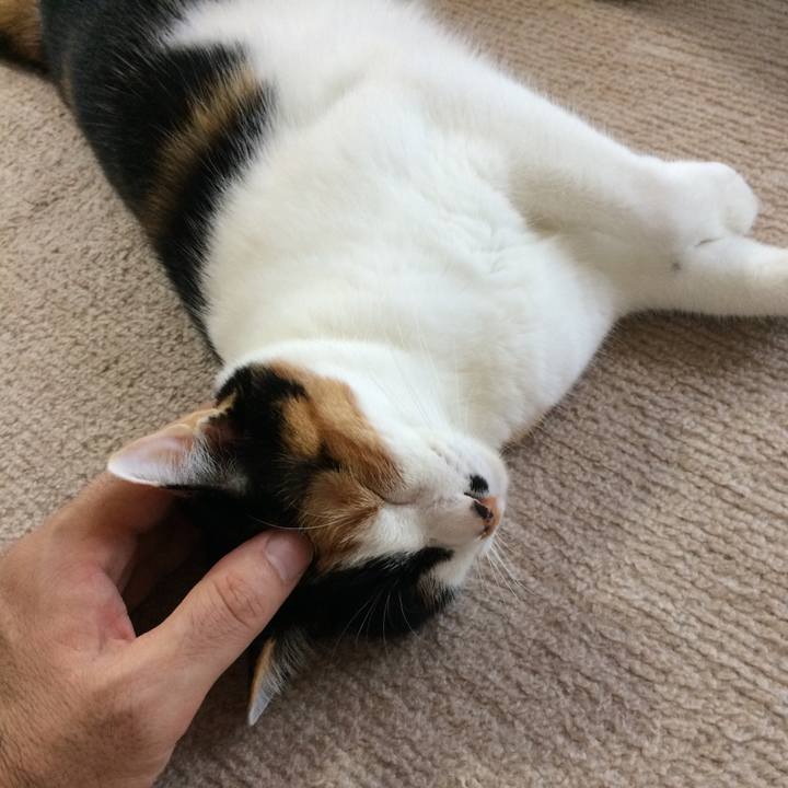 Ebee4203 9cee 46d0 990b 5e67c9320916