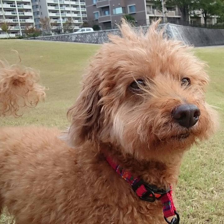 Ebee61fb 798e 4340 829f 81c635aa787b