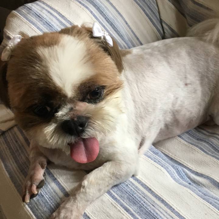 Ebeed948 5e4a 4f05 84d7 062f4c95b9c2