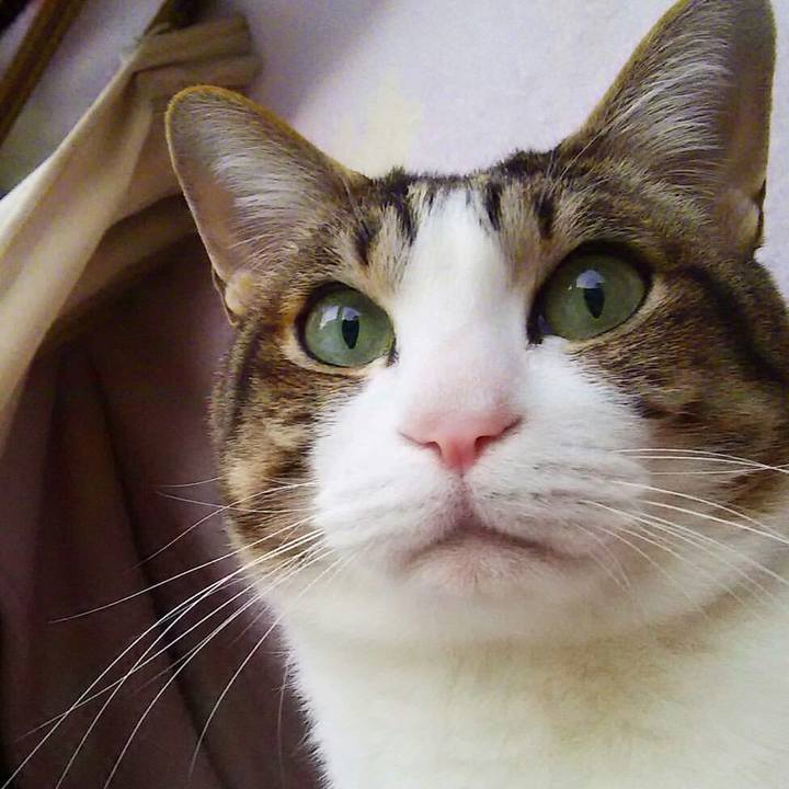 Ebef2177 f0c1 4d2f 882b 6dc56c37a921