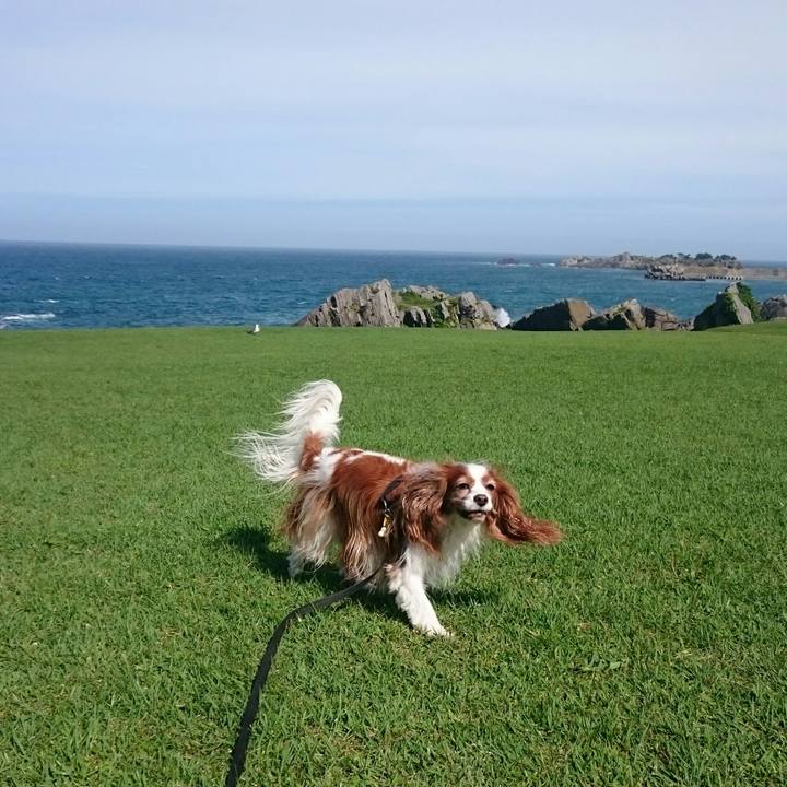 Ebefe80c 32c3 4ea4 85cb 5bb535f774ad