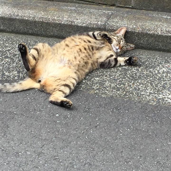 Ebf025de 0177 4140 acf4 b253968756ef