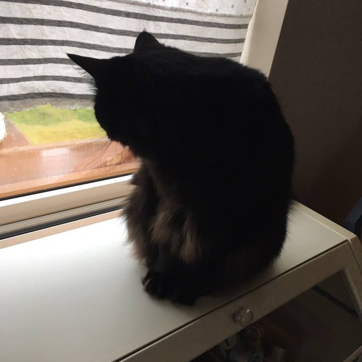 Ebf09d4e e12b 4c6d 8191 f283f98cc59c