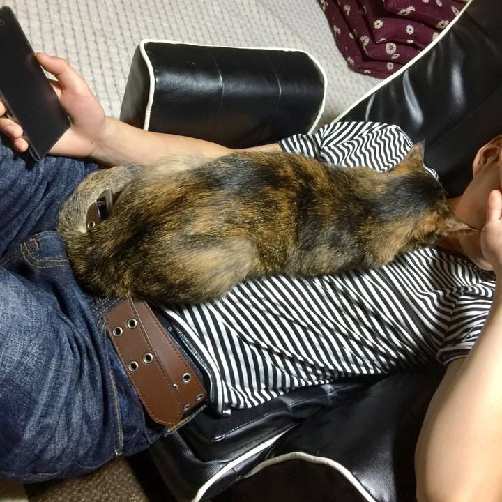 Ebf0a0bc 1b0e 4a82 a2ce 15fec8854ee6