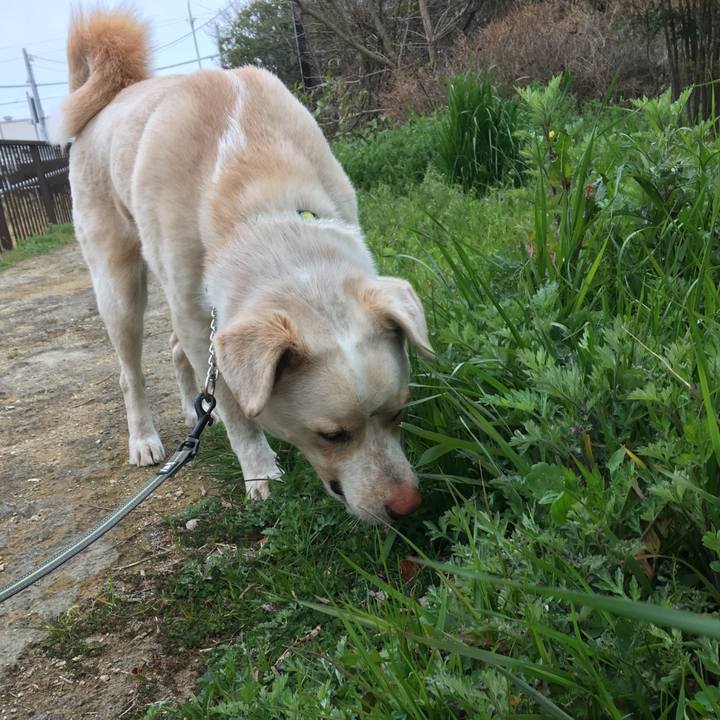 Ebf12a45 a9ea 4581 9789 3b31cf67beee