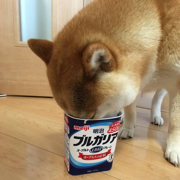 Ebf1aa77 274a 4dfc b282 86b6bf585505