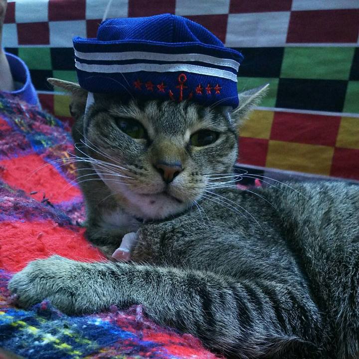 Ebf23500 78c6 4e69 9f32 111252ffbef4