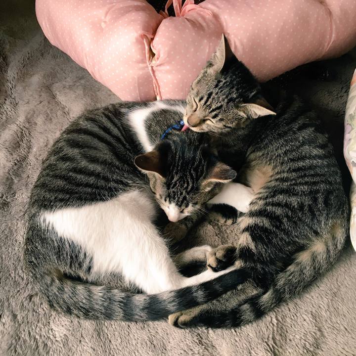 Ebf34081 0ddc 47fb a990 7e67a255d9c9