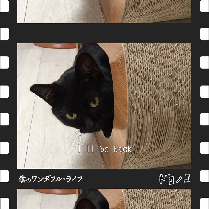 Ebf351b2 eaed 4443 b33f 3ecd5e8a3171