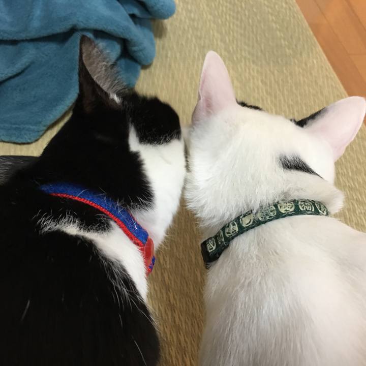 Ebf3b03a aad4 4112 9457 9a6f2807c0af