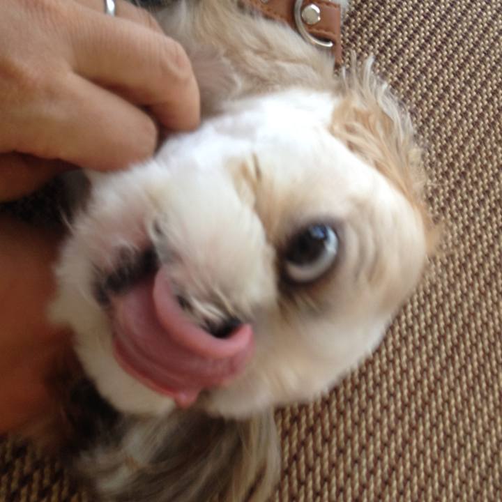 Ebf3d473 7151 43cf b9eb 3459b2e0e665