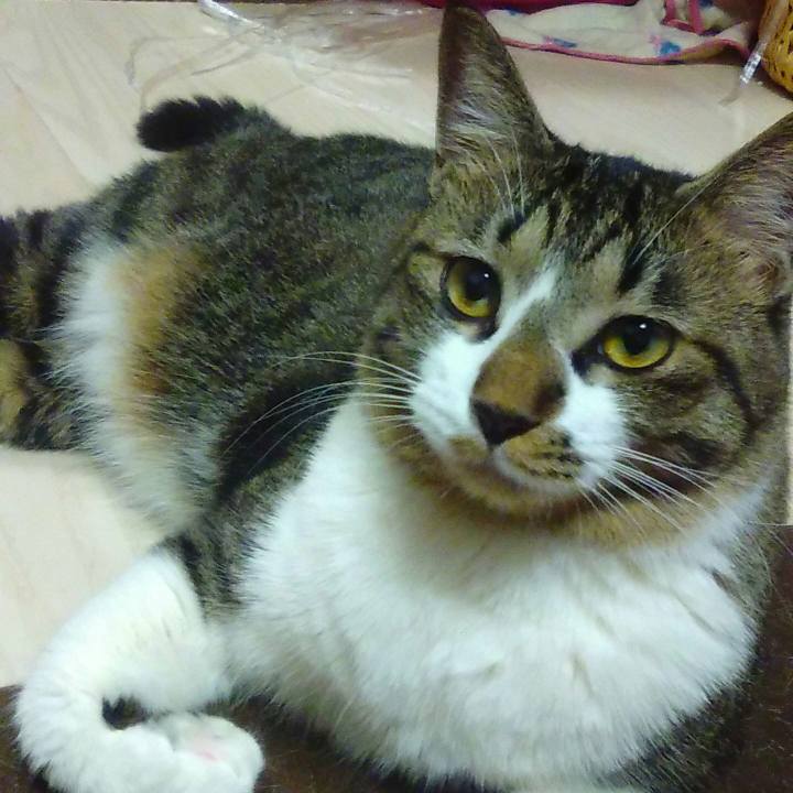 Ebf40f17 f9df 4a81 912d e52061c99f32