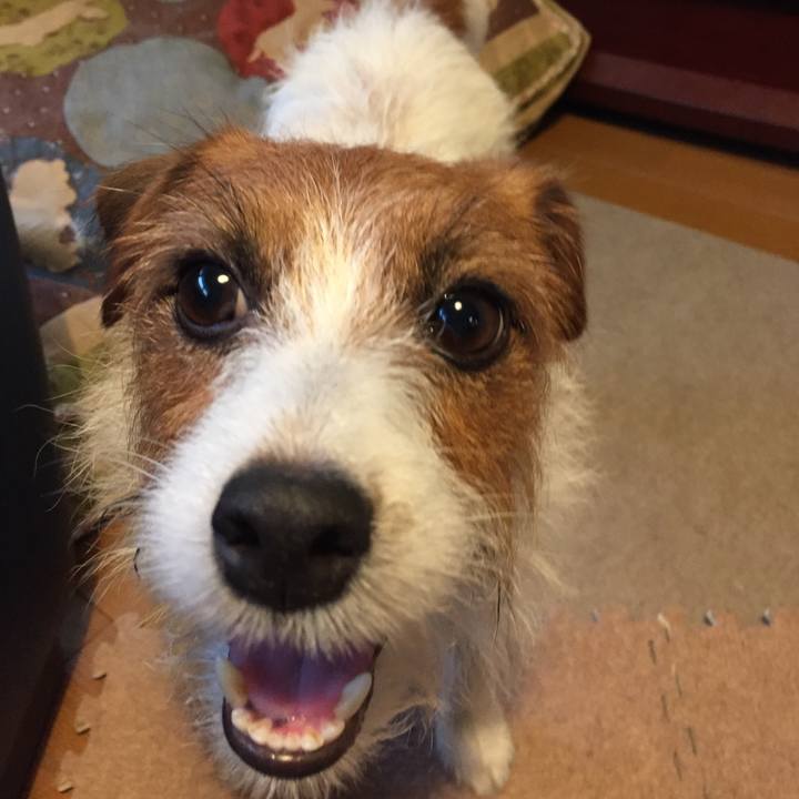 Ebf45440 753e 4abf bf3d bf4c34d41e9f