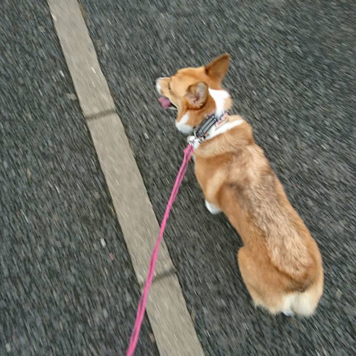 Ebf47970 d817 4681 8379 5b6897a16190