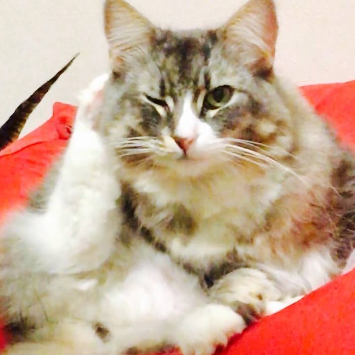 Ebf492c0 71b6 427e 8a82 6ce8b6b443a4