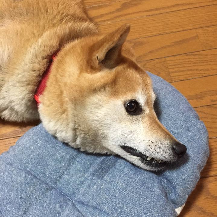 Ebf5122c 76d2 4ec8 9751 6e4b655924a0