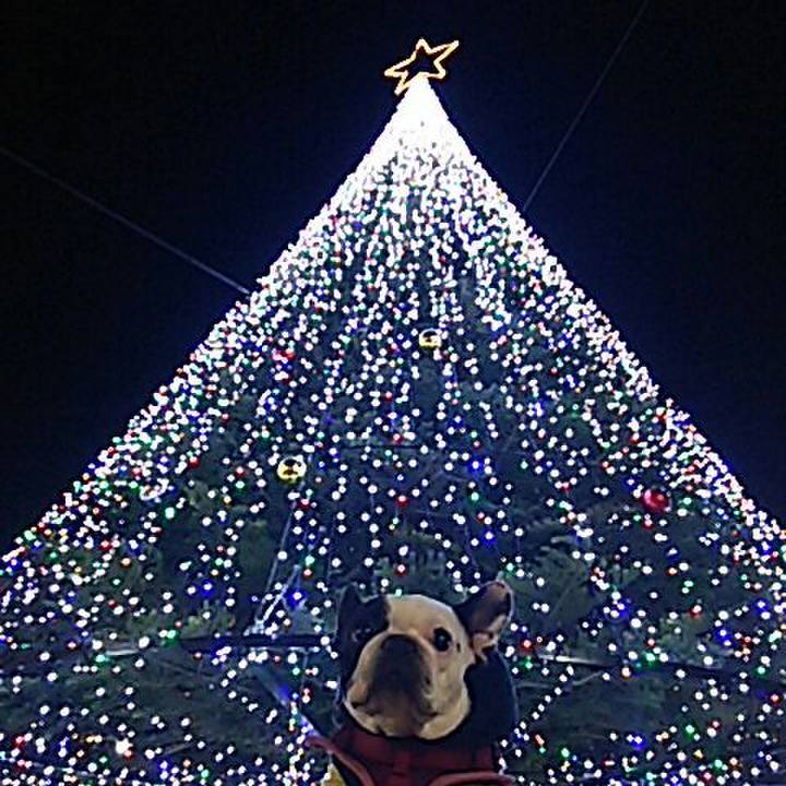 Ebf54b14 1b44 4842 b6c6 6b3ada9efe48