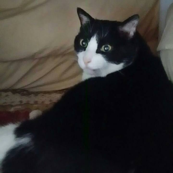 Ebf59f93 b4f7 46ed 8bec 46ca24728ddf